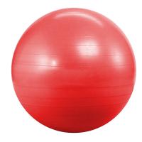 М'яч для фітнесу Landfit Фитбол 55 см (с насосом) Fitness Ball (Fitness Ball 55cm)