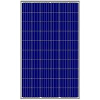Сонячна панель Amerisolar 280W 5BB, Poly, 1000V, рама 35мм (AS-6P30-280W)