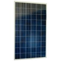Сонячна панель Suntech 275W (STP275-20/Wfw)