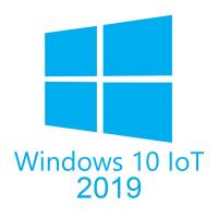 Операційна система Microsoft Win 10 IoT Ent 2019 LTSC MultiLang ESD OEI Entry EPKEA (MUV-00005)