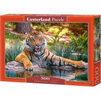 Пазл Castorland Суматранський тигр (0505-52745)