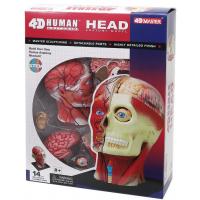 Пазл 4D Master Об'ємна анатомічна модель Голова людини (FM-626103)