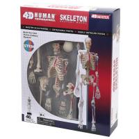 Пазл 4D Master Об'ємна анатомічна модель Master Скелет людини (FM-626011)