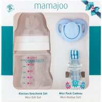 Набір для годування новонароджених Mamajoo Міні подарунковий з пляшкою Silver 150 мл Блакитний (8697767123107)