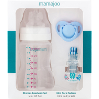 Набір для годування новонароджених Mamajoo Міні подарунковий з пляшкою Silver 250 мл Блакитний (8697767123350)