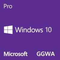 Операційна система Microsoft Windows GGWA - Windows 10 Professional Commercial, Perpetual (DG7GMGF0CGSH_0005)
