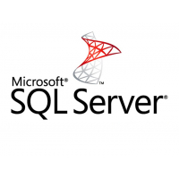 ПЗ для сервера Microsoft SQL Server Standard - 2 Core License Pack - 3 year Subscript (DG7GMGF0M7XW_0003_P3Y_T)