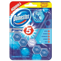 Туалетний блок Domestos Power 5 Свіжість океану 55 г (8710908551154)