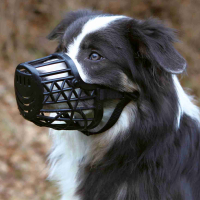 Намордник для собак Trixie пластиковий для пуделя M 20 см (4011905176031)