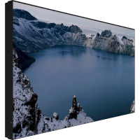 LCD панель Prestigio IDS LCD Video Wall 55 (PDSIN55WNN0L)