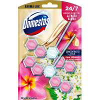 Туалетний блок Domestos Aroma Lux Свіжість рожевого жасмину та бузини 2 х 55 г (8720181189746)