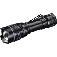 Ліхтар Hama Professional 1 LED Torch L100 Black (00139523)