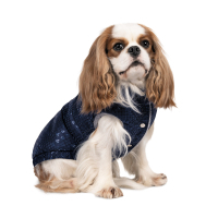 Жилет для тварин Pet Fashion LUCKY S синій (4823082428762)