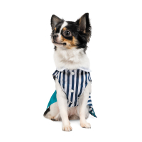 Сукня для тварин Pet Fashion Band S смужка (4823082425020)