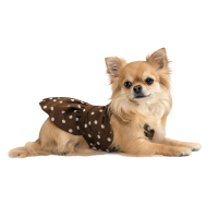 Сукня для тварин Pet Fashion Flirt S коричнева (4823082424948)