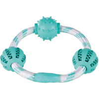 Іграшка для собак Trixie Кільце-канат з м'ячами для чищення зубів з м'ятою 20 см (4011905337043)
