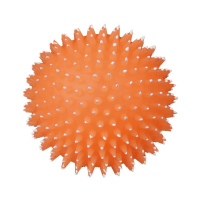 Іграшка для собак Trixie М'яч-їжак (світиться) 10 см (4011905340913)