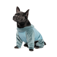 Комбінезон для тварин Pet Fashion Comfort XS блакитний (4823082428014)