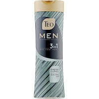 Шампунь Teo Beauty Men 3 In 1 Shampoo Fresh Energy 350 мл (3800024046766)