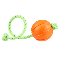 Іграшка для собак Liker Lumi М'ячик зі світлонакопичувальним шнурком 5 см (6282)