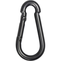 Карабін туристичний Skif Outdoor Clasp I 110 кг (BT245-110)