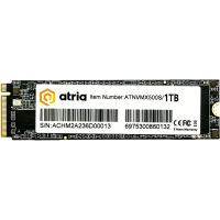 Накопичувач SSD M.2 2280 1TB X500S ATRIA (ATNVMX500S/1024)