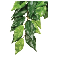 Декорація для тераріума ExoTerra Ficus Medium (015561230407)