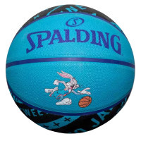 М'яч баскетбольний Spalding Space Jam Tune Squad Bugs мультиколор Уні 5 84605Z (689344413488)