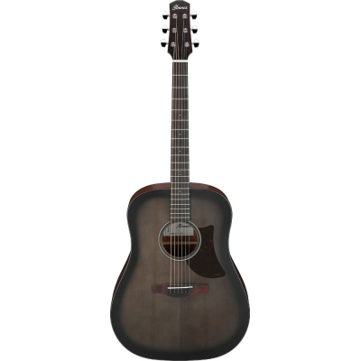 Гітара акустична Ibanez AAD50-TCB (234925)