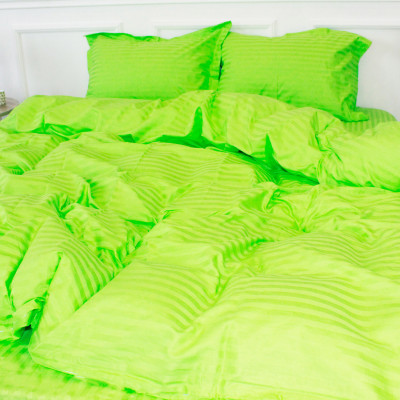 Підковдра MirSon Satin Stripe 30-0016 Light Green 160х220 см (2200005253809)