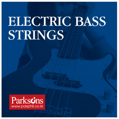 Струни для гітари Parksons Electric Bass Strings (40-95) (SB4095)