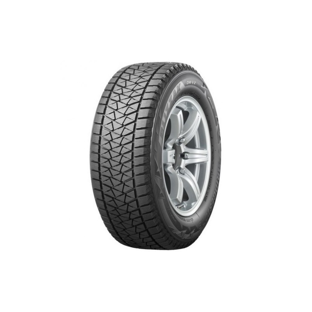 Шина Bridgestone Blizzak DM-V2 255/50R19 107T XL (14011116307)