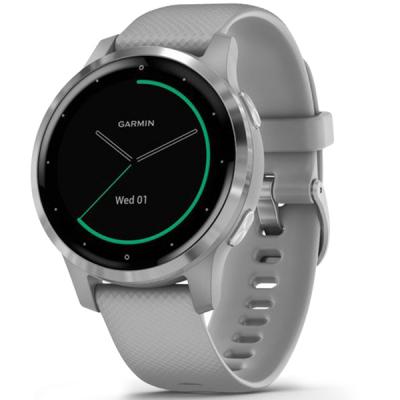 Смарт-годинник Garmin vivoactive 4S, Powder Gray/Silver (010-02172-03)