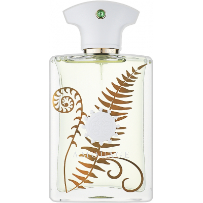 Парфумована вода Amouage Bracken Man 100 мл (701666230014)