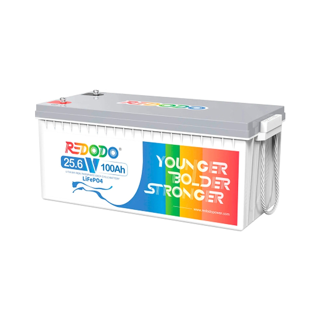 Батарея LiFePo4 Redodo 24V-100Ah (Redodo-24V100Ah)