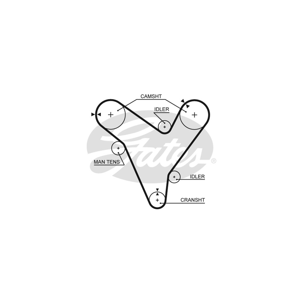 Ремінь ГРМ Gates 5379XS