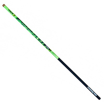 Вудилище Fishing ROI Espada Telepole 400 5-25gr (225-01-9614)