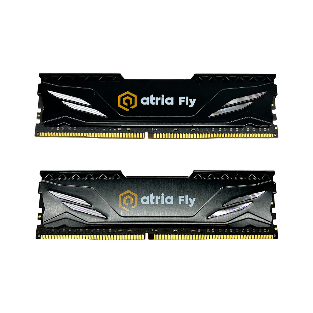 Модуль пам'яті для комп'ютера DDR4 16GB (2x8GB) 2666 MHz Fly Black ATRIA (UAT42666CL19BK2/16)