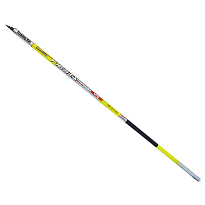 Вудилище Fishing ROI Fiesta Telepole 8.00м до 25гр (225-13-800)