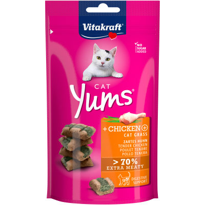 Ласощі для котів Vitakraft Yums курка та котяча м'ята 40 г (4008239315311)