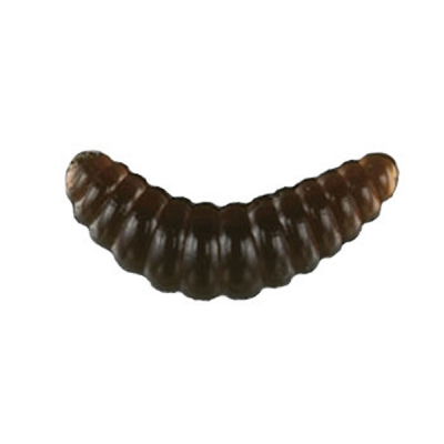 Силікон рибальський Nomura Honey Worm 20мм 0,35гр. цвет-053 (night worm) 12шт (NM78005302)