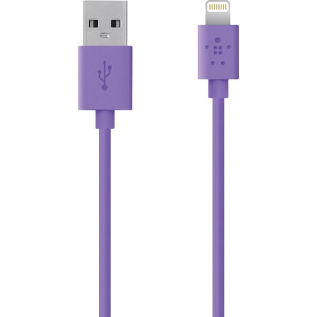 Дата кабель USB 2.0 AM to Lightning 1.2m Belkin (F8J023bt04-PUR)