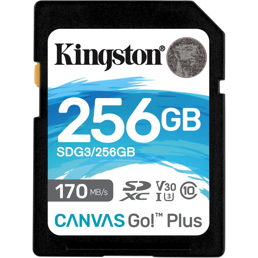 Карта пам'яті Kingston 256GB SDXC class 10 UHS-I U3 Canvas Go Plus (SDG3/256GB)