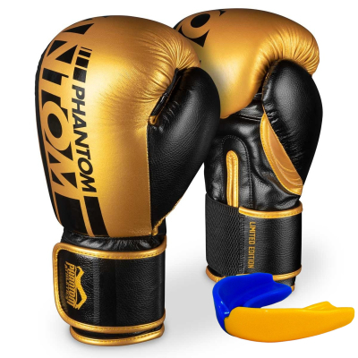 Боксерські рукавички Phantom APEX Elastic Gold 14oz (PHBG2215-14)