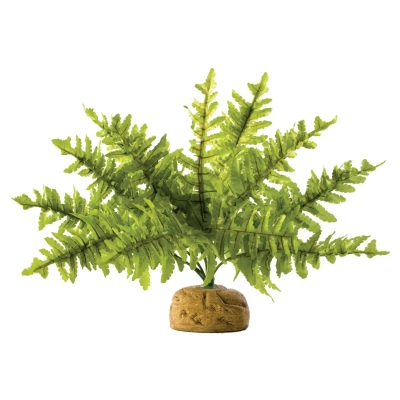 Декорація для тераріума ExoTerra Boston Fern Small (015561229906)