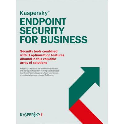 Антивірус Kaspersky Endpoint Security for Business - Select 49 ПК 3 year Base Li (KL4863XAPTS_49Pc_3Y_B)