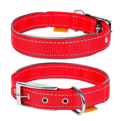 Нашийник для тварин Collar Dog Extremе 25 мм 38-48 см (червоний) (67043)