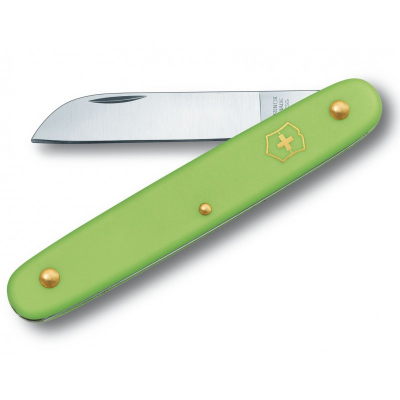 Ніж Victorinox Floral Matt Green Blister (3.9050.47B1)