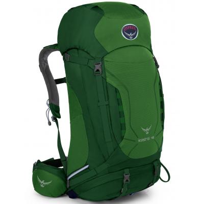 Рюкзак туристичний Osprey Kestrel 38 Jungle Green S/M (009.1187)