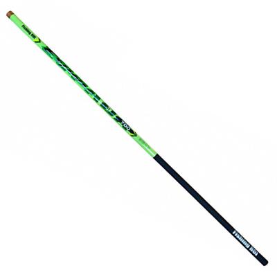 Вудилище Fishing ROI Espada Telepole 500 5-25gr (225-01-9615)